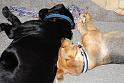 Sandy and Bas_10714